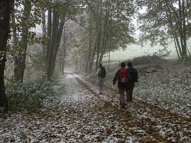 Raichberg 2007 Bild 13